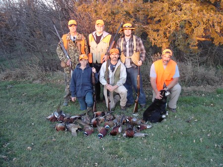 Pheasant Hunting Photo