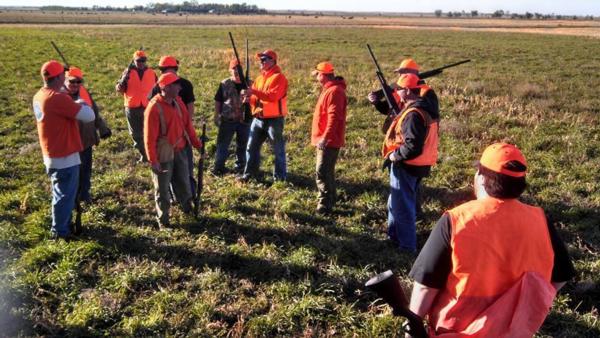 Pheasant Hunting Photo