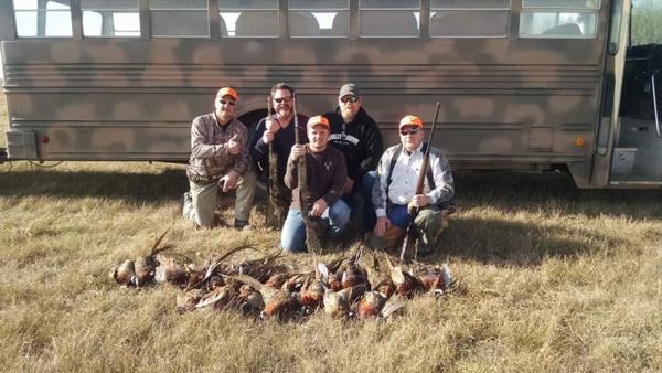 Pheasant Hunting Photo