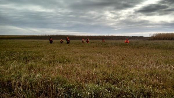 Pheasant Hunting Photo