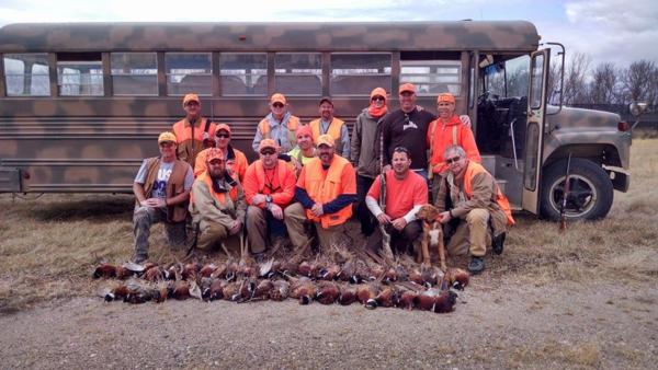 Pheasant Hunting Photo