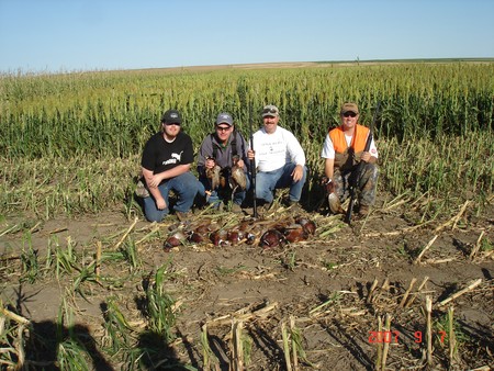 Pheasant Hunting Photo